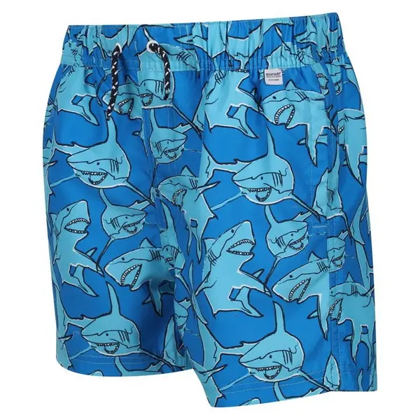 Image of Regatta Skander II Swim Shorts - AquariusShrk C9-C10