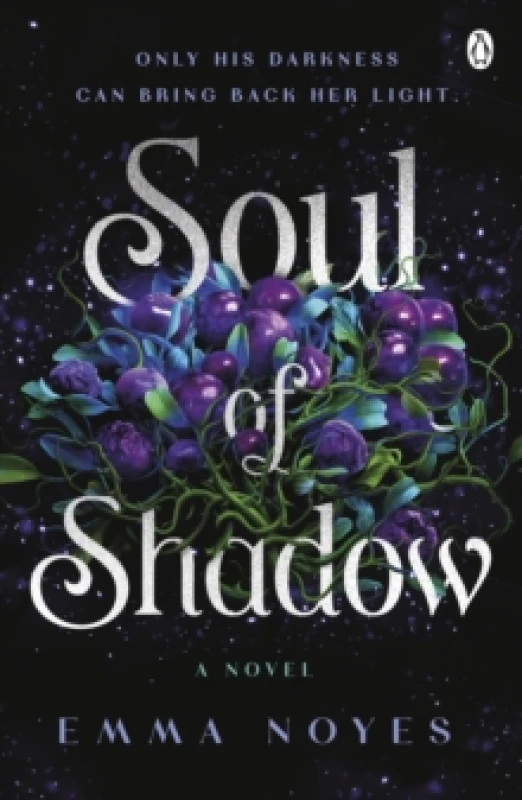 Image of Soul of Shadow Paperback / softback