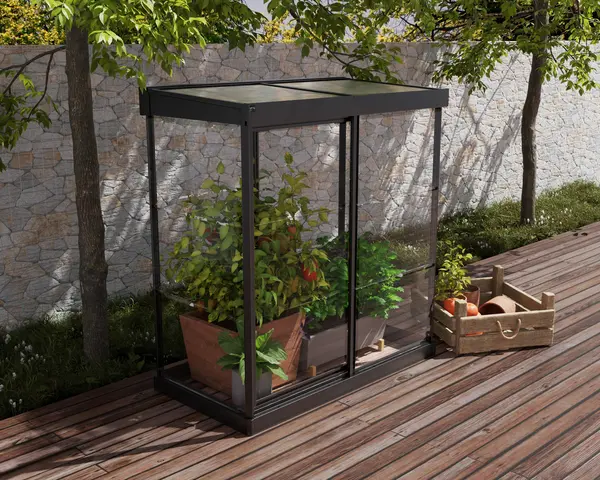 Image of Palram-Canopia Ivy Polycarbonate Greenhouse (Black)
