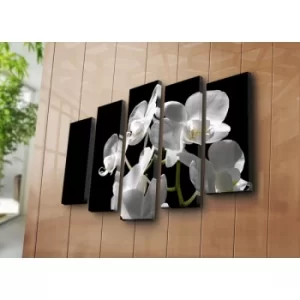 Image of 5PAT-4 Multicolor Decorative Canvas Painting (5 Pieces)