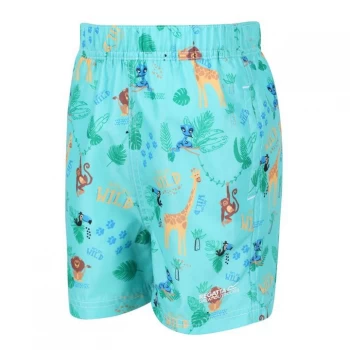 Image of Regatta Skander II Swimming Shorts - TropMintJung