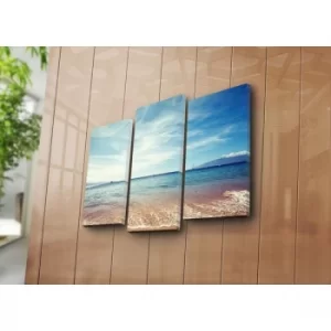 Image of 3NATPAT-6 Multicolor Decorative Canvas Painting (3 Pieces)