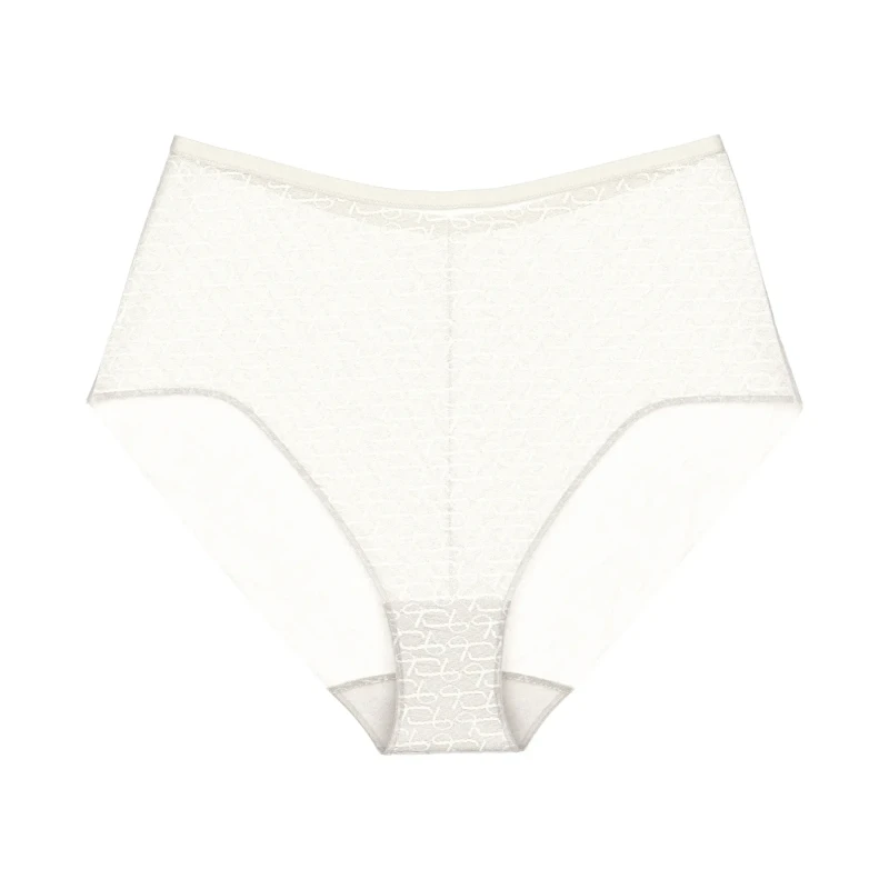 Image of Triumph Signature Sheer Maxi Knickers in Lace Off-White Women 12;16;20;22