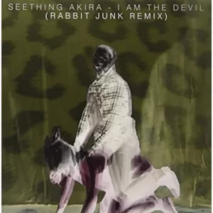 Image of I Am the Devil Rabbit Junk Rmx by Seething Akira Vinyl Album