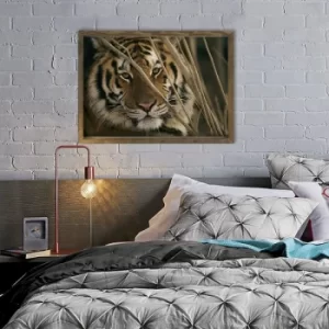 Image of MZM775 Multicolor Decorative Framed MDF Painting