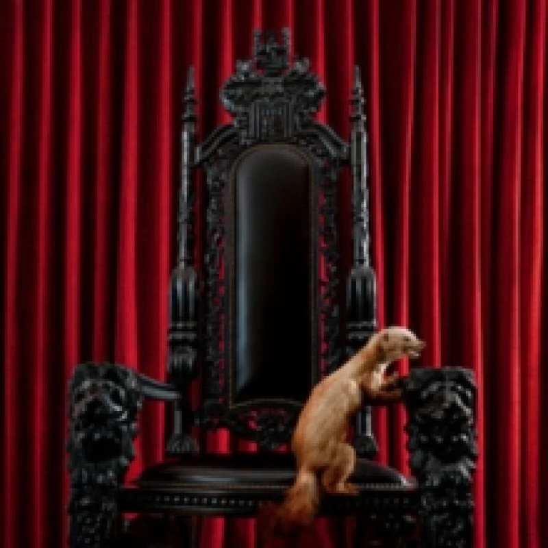 Image of Marten Vinyl