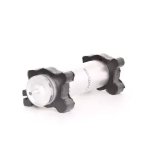 Image of RIDEX Fuel Filter BMW,MINI 9F0065 13327787476,13327794549