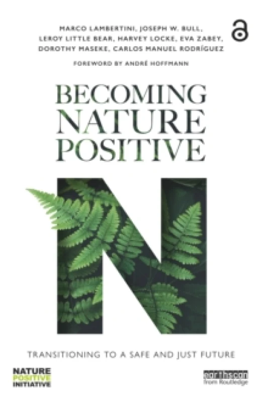 Image of Becoming Nature Positive : Transitioning to a Safe and Just Future Paperback / softback