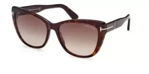 Image of Tom Ford Sunglasses FT0937 NORA 52K
