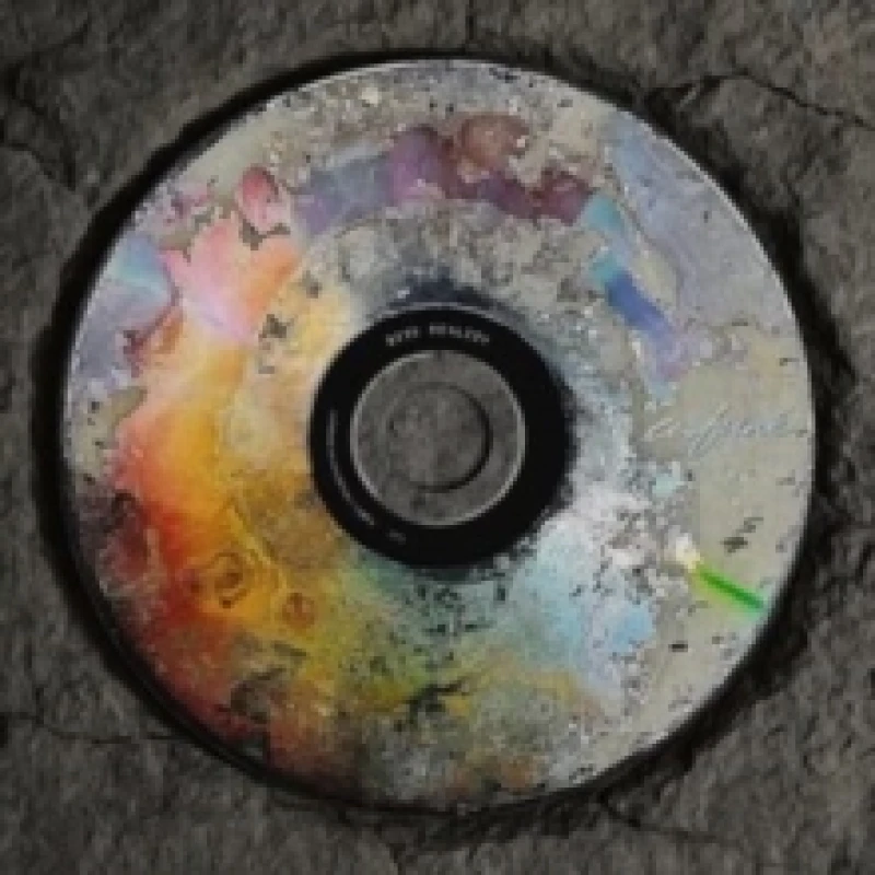 Image of Bite Reality Vinyl