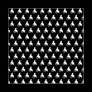 Image of Deftones - White Pony Bandana