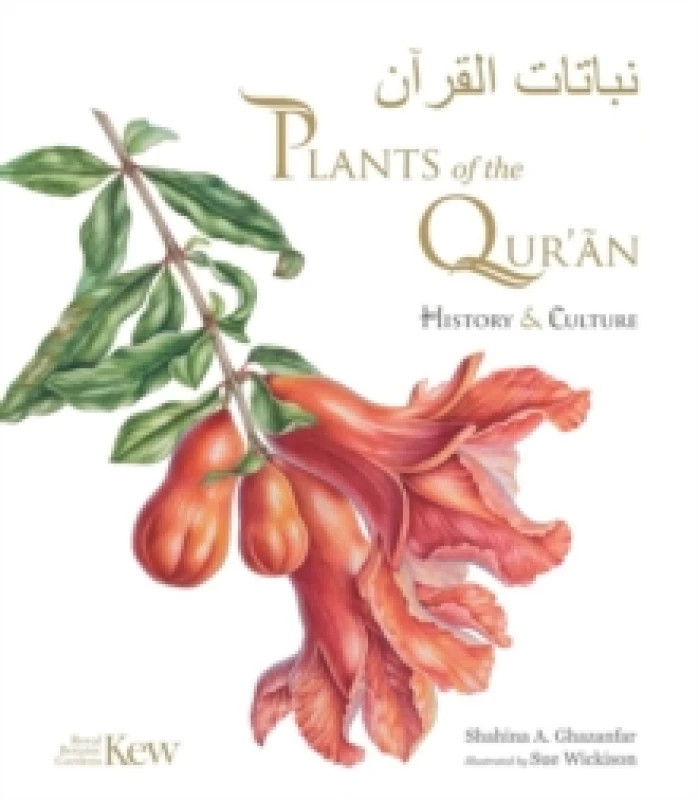 Image of Plants of the Qur'an : History & culture Hardback