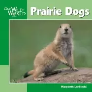 Image of prairie dogs