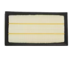 Image of RIDEX Air filter JAGUAR 8A0423 XR830418,XR88237 Engine air filter,Engine filter