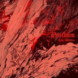 Image of Posthum - Like Wildfire Vinyl