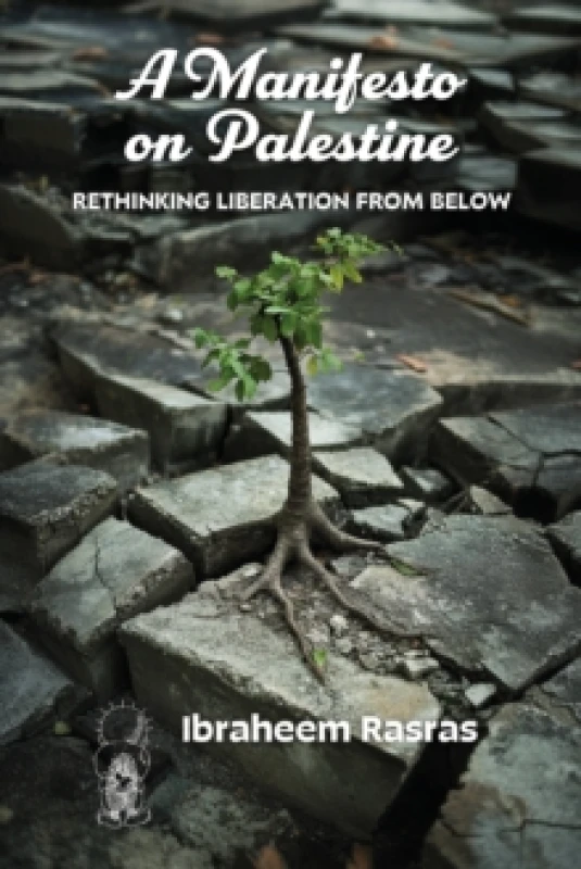 Image of A Manifesto on Palestine: Rethinking Liberation from Below Paperback / softback