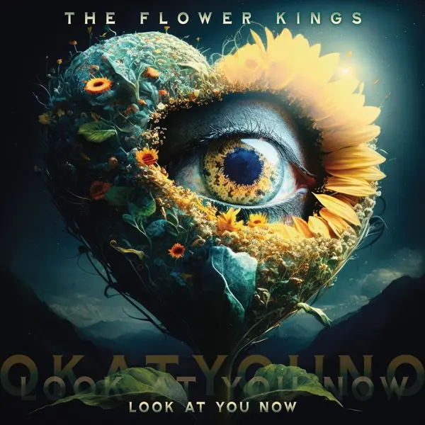Image of The Flower Kings Look at you now CD multicolor