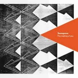 Image of Snowgoose - The Making Of You Vinyl