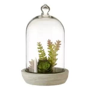 Image of Premier Housewares Large Faux Succulent in Dome with Cement Base