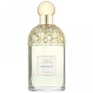 Image of Guerlain Aqua Allegoria Herba Fresca Eau de Toilette Unisex 125ml