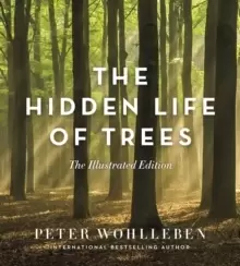 Image of The Hidden Life of Trees : The Illustrated Edition