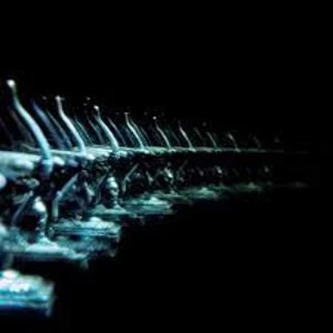 Image of Ose - Ellipsis Vinyl