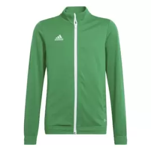 Image of adidas ENT22 Track Jacket Juniors - Green