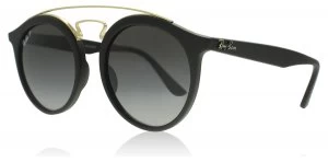Image of Ray-Ban Gatsby Sunglasses Matte Black 601ST3 Polariserade 49mm