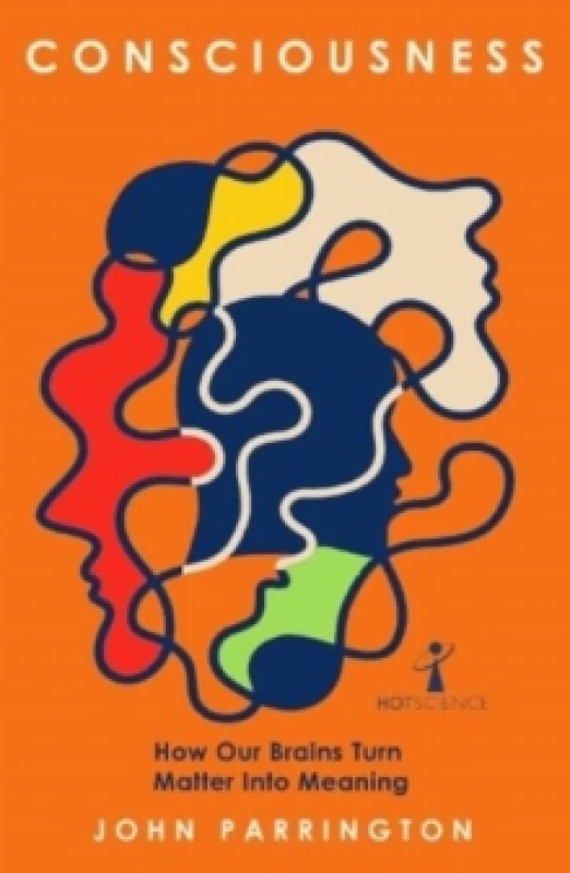 Image of Consciousness : How Our Brains Turn Matter into Meaning Paperback / softback