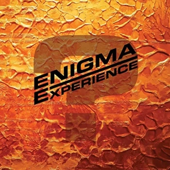 Image of Enigma Experience - Question Mark Vinyl