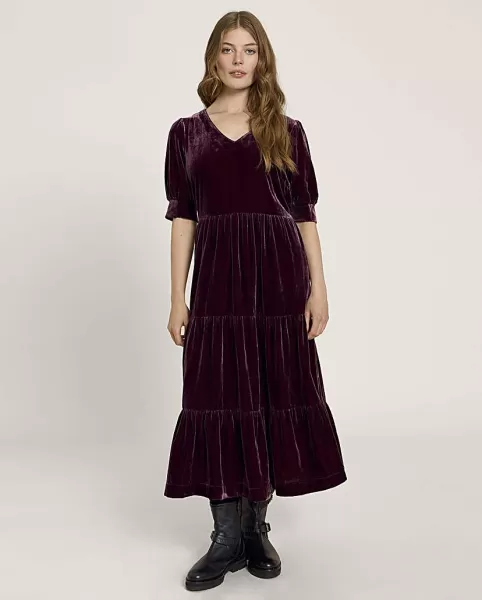 Image of White Stuff White Stuff Arya Velvet Dress Plum Female 8 XS41809