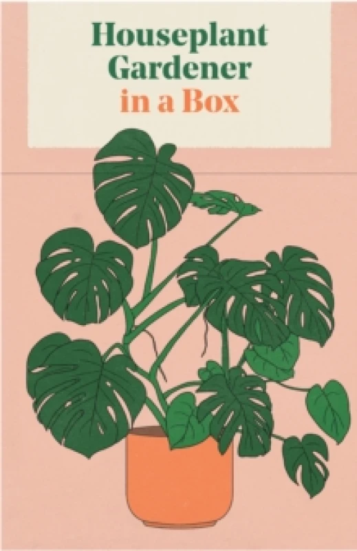 Image of Houseplant Gardener in a Box Cards
