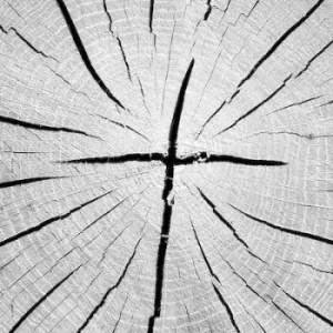 Image of Thats Why by That's Why CD Album