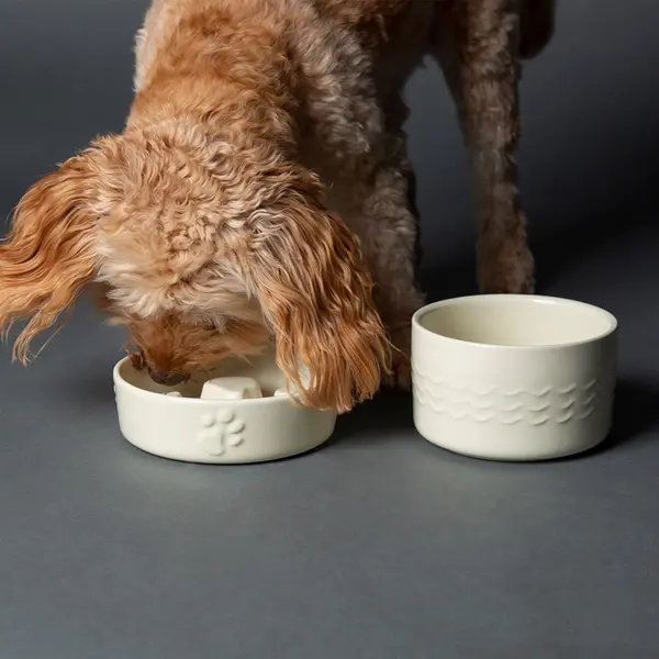 Image of Scruffs Icon Slow Feeder and Drink Bowl Set Cream