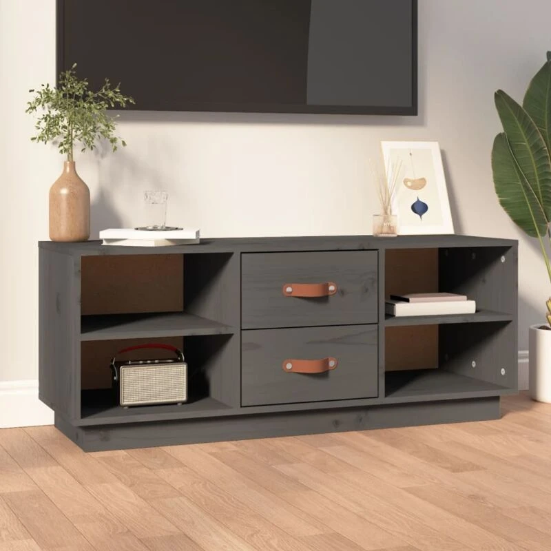 Image of vidaXL TV Cabinet Grey 100x34x40cm Solid Wood Pine, Grey 818227