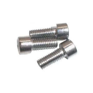 Image of ETC M5 Alloy Bolts (x20)