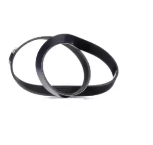 Image of RIDEX V-ribbed belt VW,AUDI,RENAULT 305P0049 038903137,038903137G,06F903137E 38903137,38903137G,6F903137E,5750RG,5750RG,11287534399,11287566789,5750RG