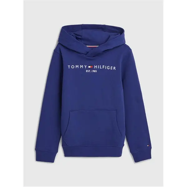 Image of Tommy Hilfiger Tommy Logo Hoodie - Blue One Size