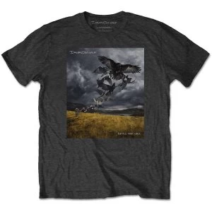Image of David Gilmour - Rattle That Lock Mens Medium T-Shirt - Charcoal Grey