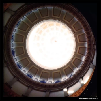 Image of Loch Lomond - Night Bats / White Dresses Vinyl