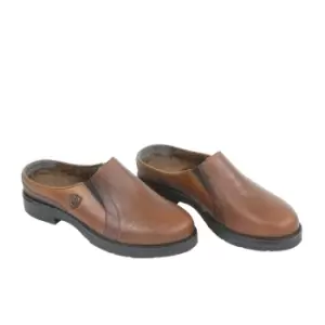 Image of Moretta Womens/Ladies Donna Clogs (5 UK) (Brown)