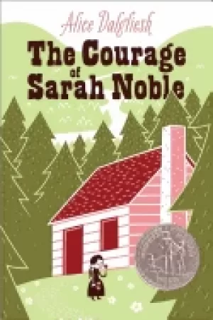 Image of courage of sarah noble