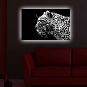 Image of 4570DACT-44 Multicolor Decorative LED Lighted Canvas Painting