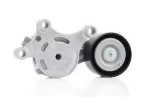 Image of INA Tensioner Lever, v-ribbed belt 534 0075 20 FORD,PEUGEOT,CITROEN,Fiesta Mk6 Schragheck (JA8, JR8),Fiesta Mk5 Schragheck (JH1, JD1, JH3, JD3)