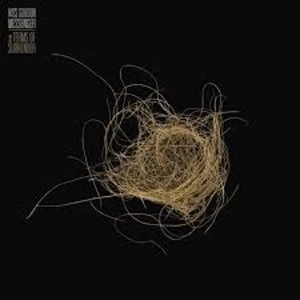 Image of Hiss Golden Messenger - Terms Of Surrender Vinyl