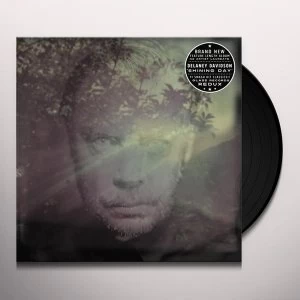 Image of Delaney Davidson - Shining Day Vinyl