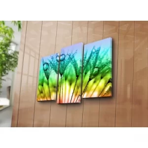Image of 3KBPAT-25 Multicolor Decorative Canvas Painting (3 Pieces)
