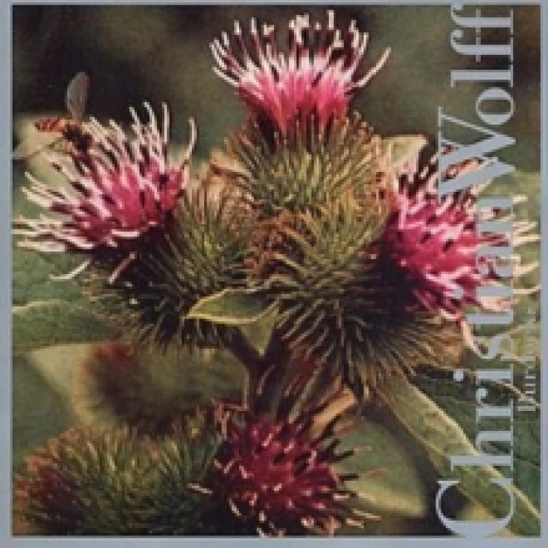 Image of Burdocks CD / Album