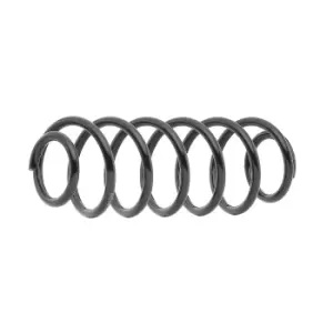 Image of RIDEX Coil spring Rear Axle 188C0779 Suspension spring,Springs MAZDA,2 Schragheck (DE_, DH_3)