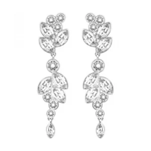 Image of Ladies Swarovski Stainless Steel Diapason Earrings